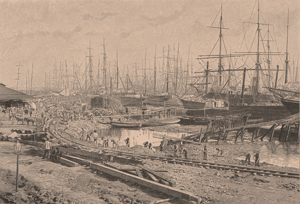 Santos Harbour - View taken in 1891. São Paulo. Brazil 1885 old antique print